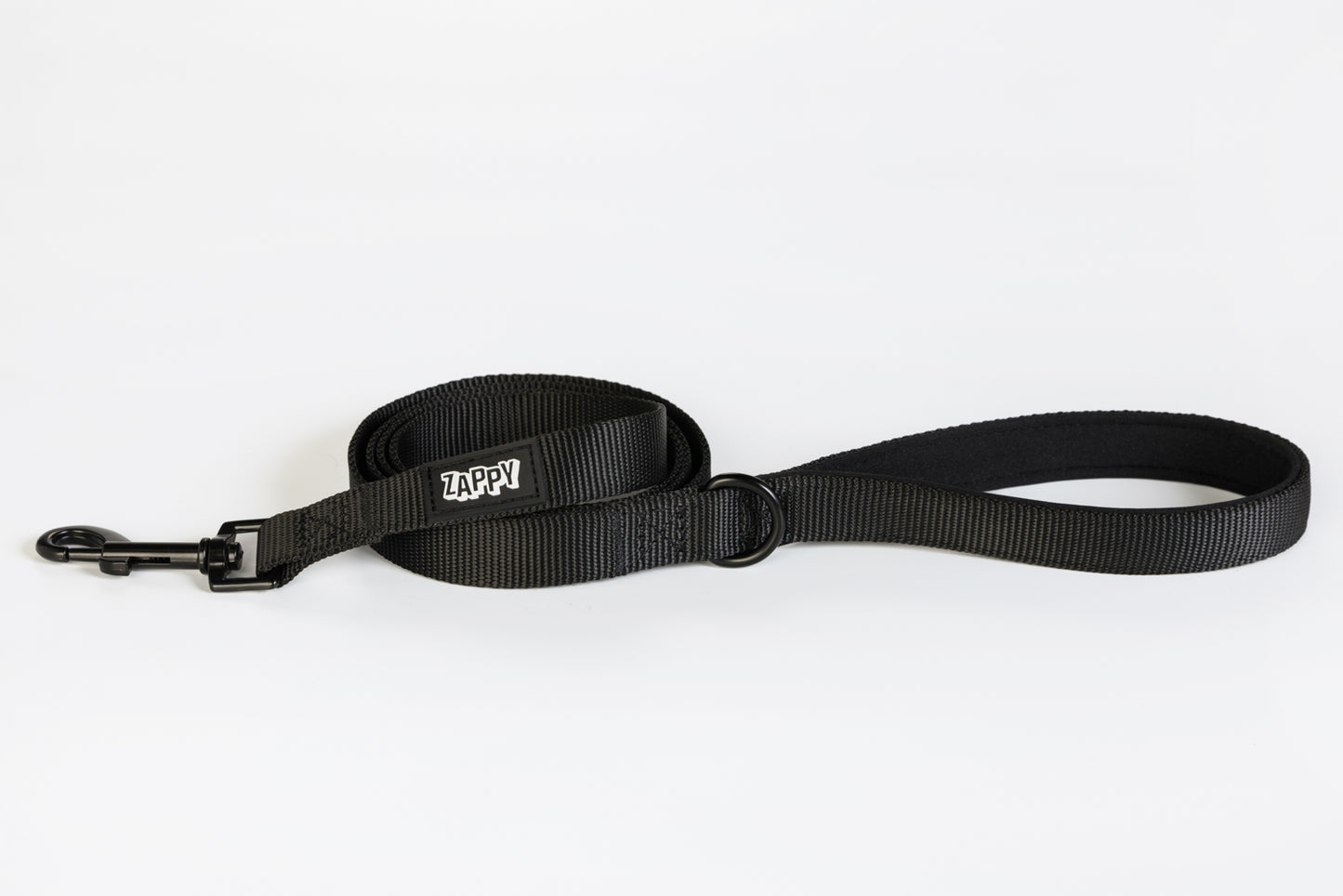 Black leash