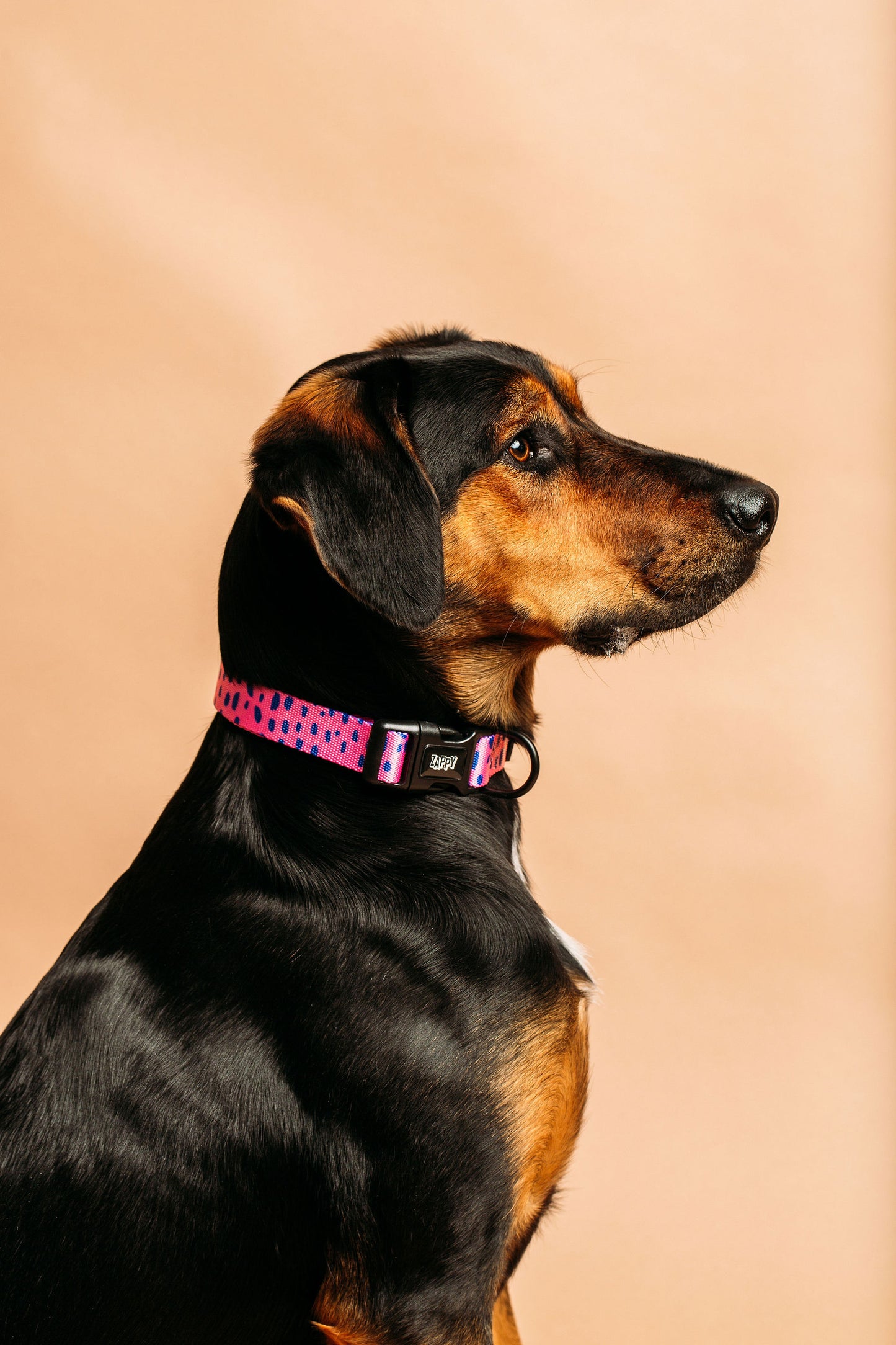 Taffy Freckle Collar