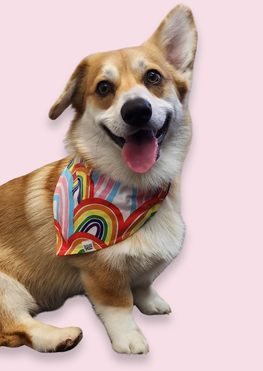 Over The Collar Bandanas