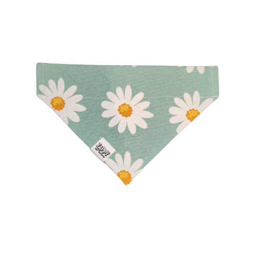 Over The Collar Bandanas