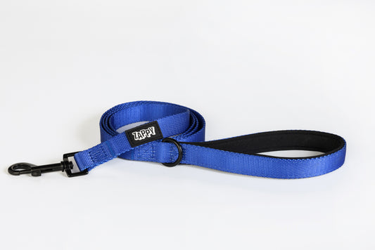 Cobalt Leash