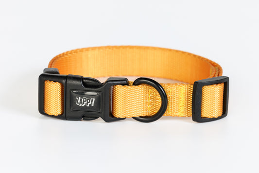 Mustard Collar