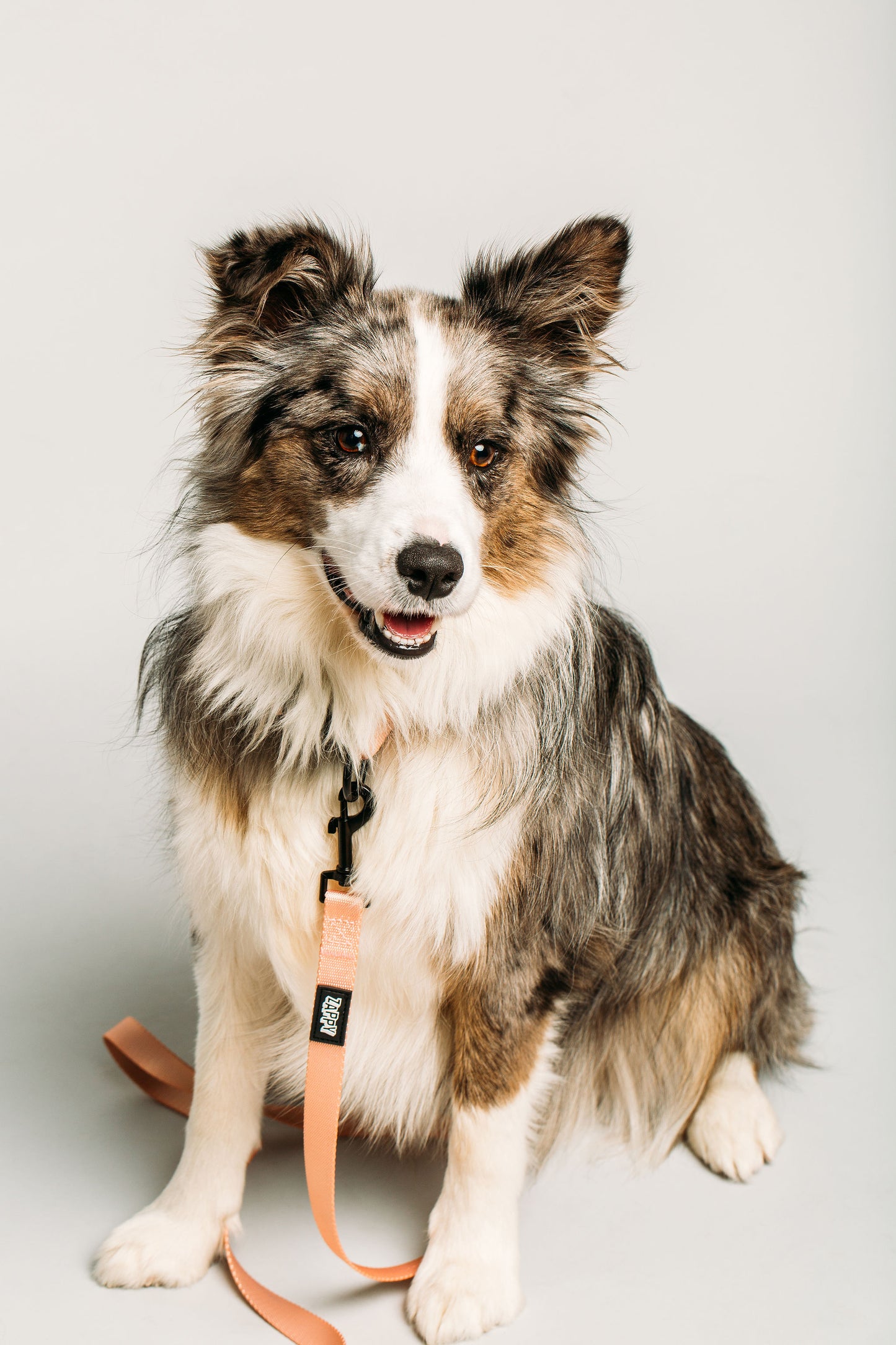 Peaches Leash