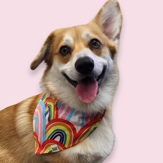 Over The Collar Bandanas